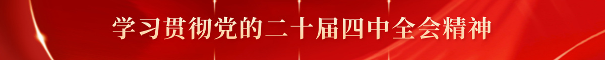 学习贯彻党的二十届四中全会精神