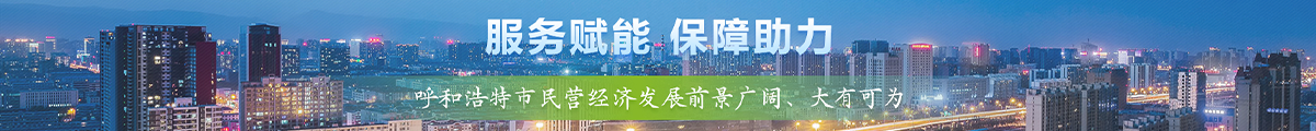 民营经济
