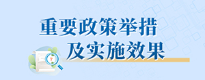 重要政策举措及实施效果